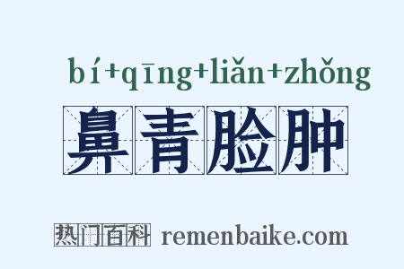 鼻青脸肿是什么意思的图片